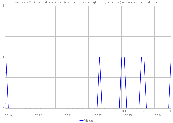 Visitas 2024 de Rotterdams Detacherings Bedrijf B.V. (Holanda) 