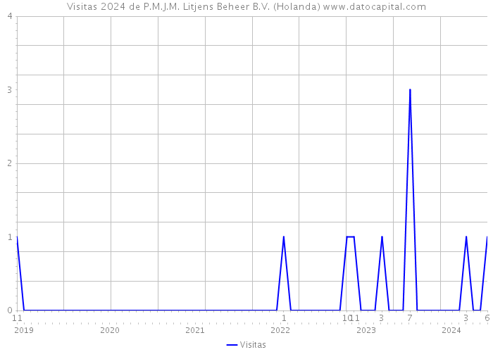 Visitas 2024 de P.M.J.M. Litjens Beheer B.V. (Holanda) 