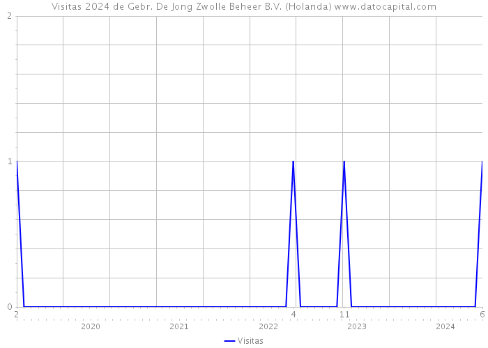 Visitas 2024 de Gebr. De Jong Zwolle Beheer B.V. (Holanda) 