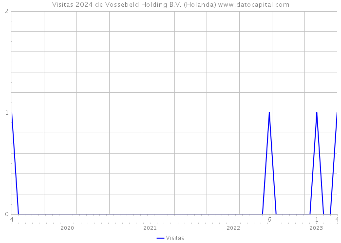 Visitas 2024 de Vossebeld Holding B.V. (Holanda) 