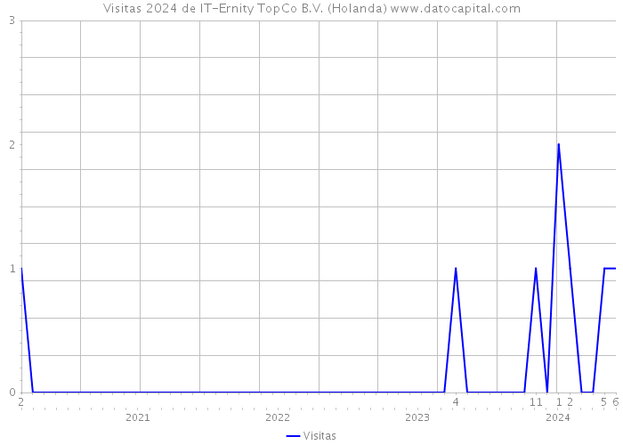 Visitas 2024 de IT-Ernity TopCo B.V. (Holanda) 