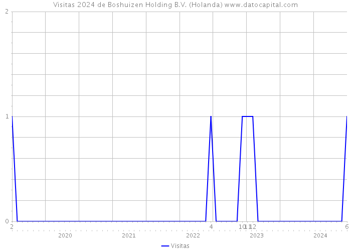 Visitas 2024 de Boshuizen Holding B.V. (Holanda) 
