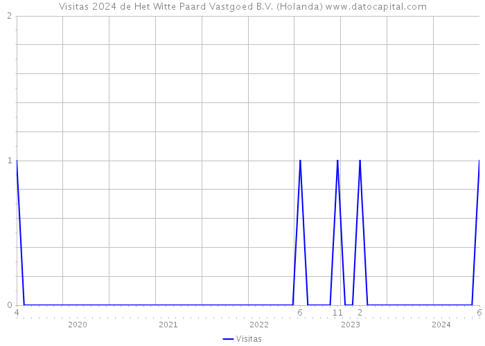 Visitas 2024 de Het Witte Paard Vastgoed B.V. (Holanda) 