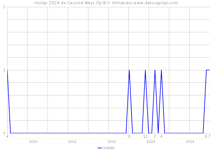 Visitas 2024 de Gezond Weer Op B.V. (Holanda) 