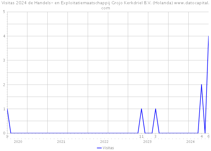 Visitas 2024 de Handels- en Exploitatiemaatschappij Grojo Kerkdriel B.V. (Holanda) 