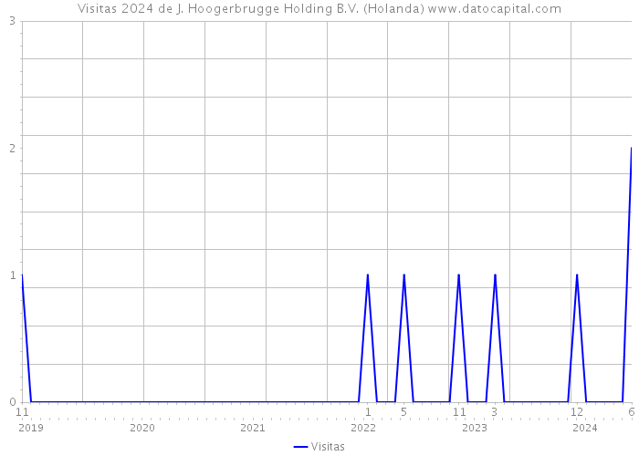 Visitas 2024 de J. Hoogerbrugge Holding B.V. (Holanda) 