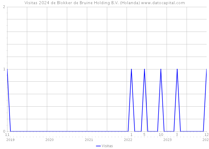 Visitas 2024 de Blokker de Bruine Holding B.V. (Holanda) 