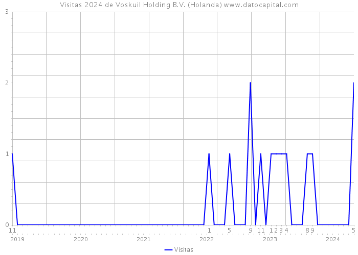 Visitas 2024 de Voskuil Holding B.V. (Holanda) 
