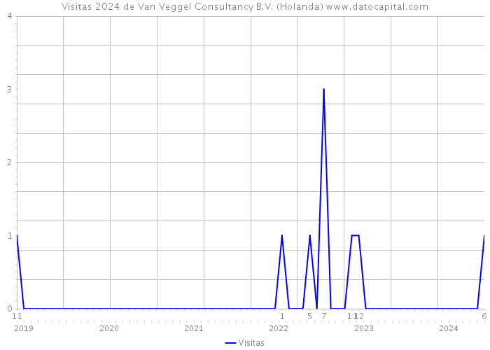 Visitas 2024 de Van Veggel Consultancy B.V. (Holanda) 