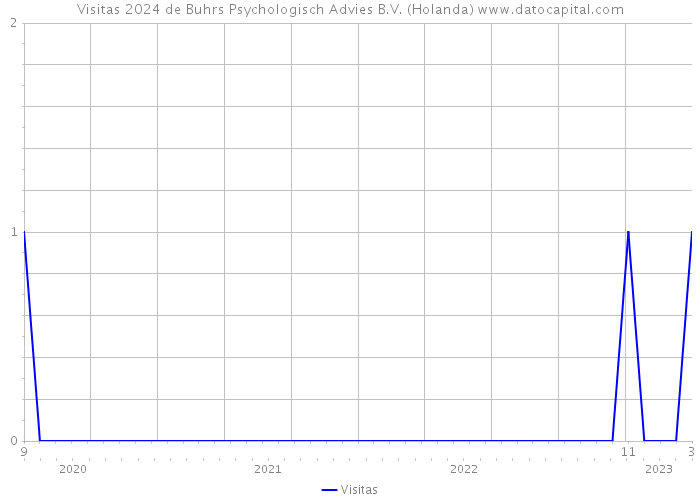 Visitas 2024 de Buhrs Psychologisch Advies B.V. (Holanda) 