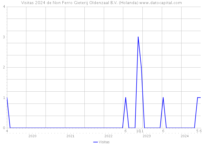 Visitas 2024 de Non Ferro Gieterij Oldenzaal B.V. (Holanda) 