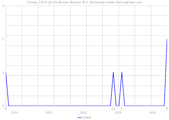 Visitas 2024 de De Bolder Beheer B.V. (Holanda) 