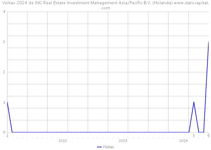 Visitas 2024 de ING Real Estate Investment Management Asia/Pacific B.V. (Holanda) 