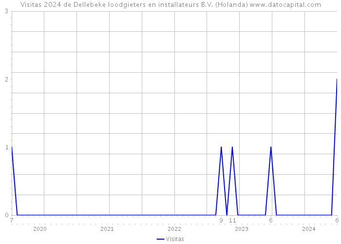 Visitas 2024 de Dellebeke loodgieters en installateurs B.V. (Holanda) 