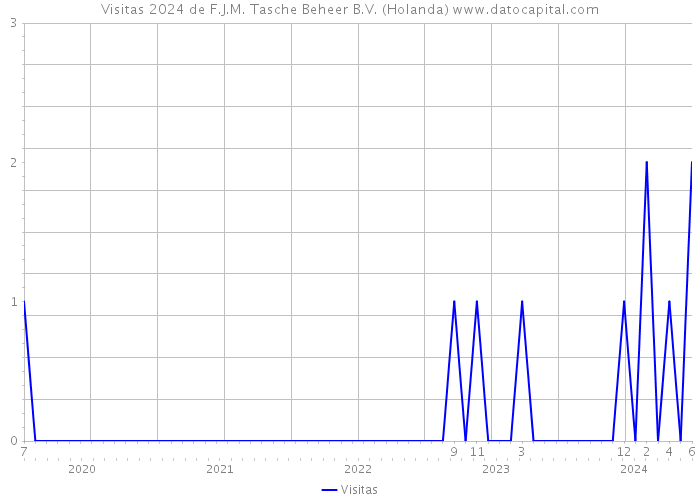 Visitas 2024 de F.J.M. Tasche Beheer B.V. (Holanda) 