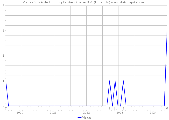 Visitas 2024 de Holding Koster-Koene B.V. (Holanda) 