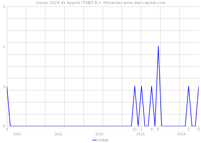 Visitas 2024 de Appels IT4BIZ B.V. (Holanda) 