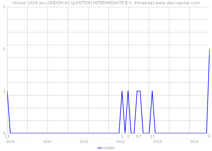 Visitas 2024 de LONDON ACQUISITION INTERMEDIATE B.V. (Holanda) 