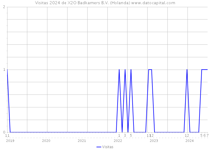 Visitas 2024 de X2O Badkamers B.V. (Holanda) 