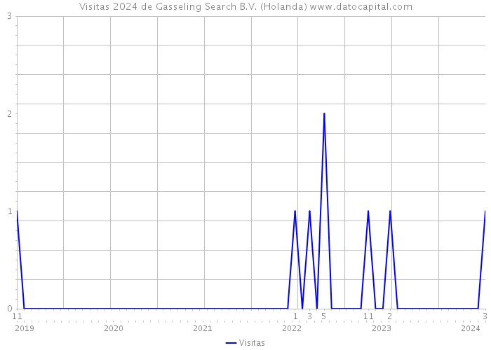 Visitas 2024 de Gasseling Search B.V. (Holanda) 