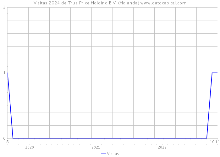 Visitas 2024 de True Price Holding B.V. (Holanda) 