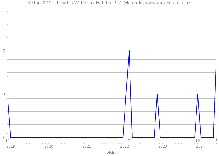 Visitas 2024 de Wilco Wolterink Holding B.V. (Holanda) 