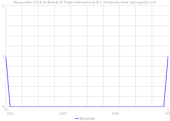 Búsquedas 2024 de Brands & Trade International B.V. (Holanda) 