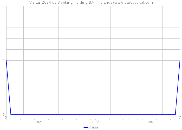 Visitas 2024 de Sleeking Holding B.V. (Holanda) 