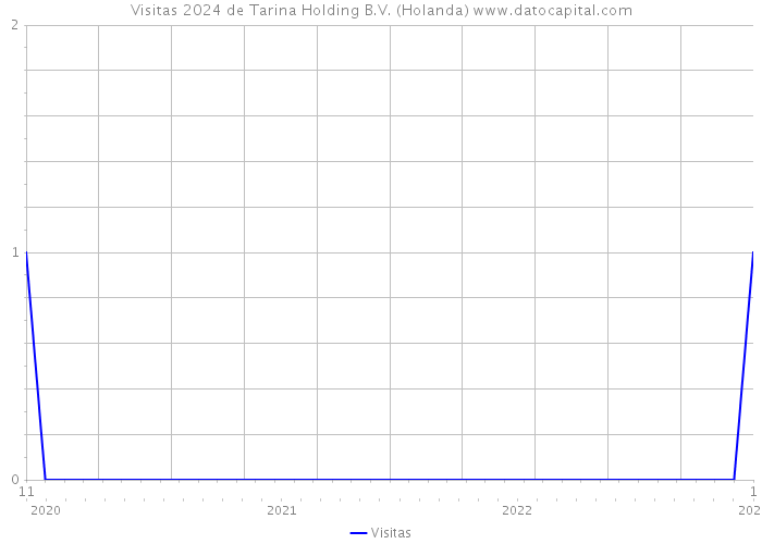 Visitas 2024 de Tarina Holding B.V. (Holanda) 