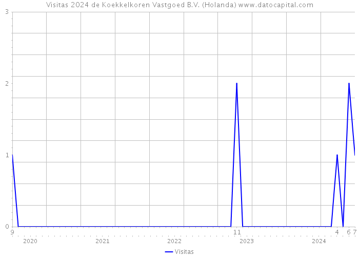 Visitas 2024 de Koekkelkoren Vastgoed B.V. (Holanda) 