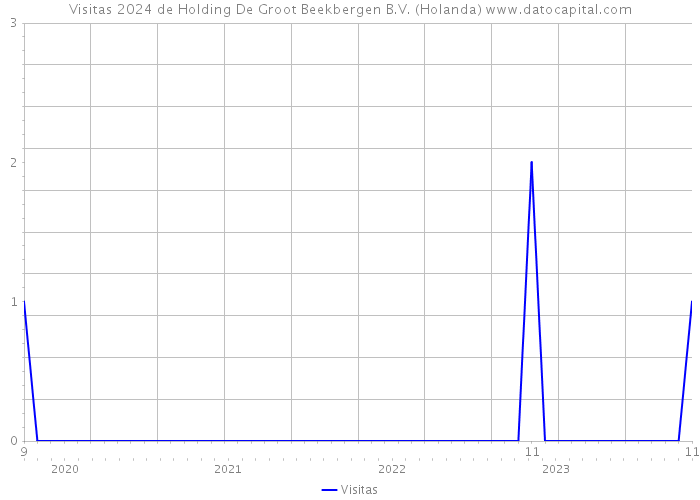 Visitas 2024 de Holding De Groot Beekbergen B.V. (Holanda) 