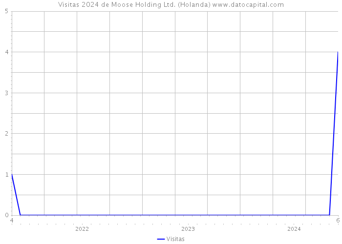 Visitas 2024 de Moose Holding Ltd. (Holanda) 