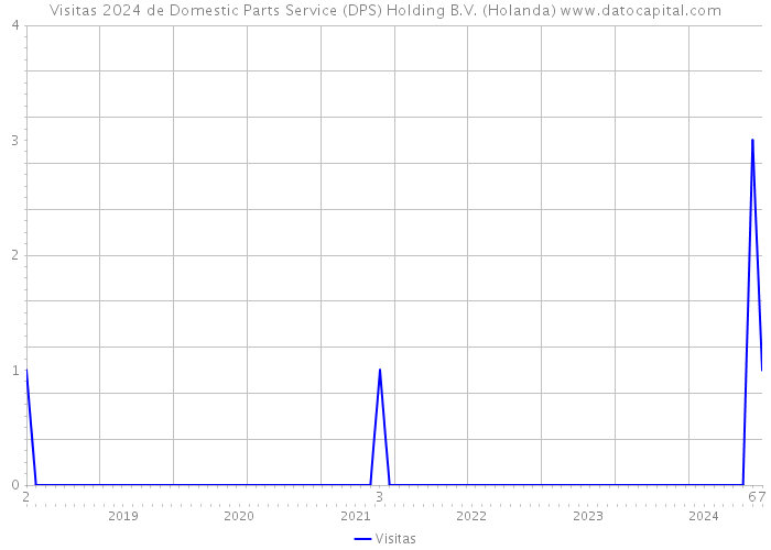 Visitas 2024 de Domestic Parts Service (DPS) Holding B.V. (Holanda) 