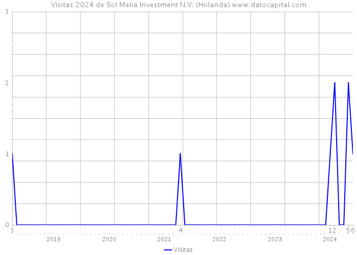 Visitas 2024 de Sol Melia Investment N.V. (Holanda) 