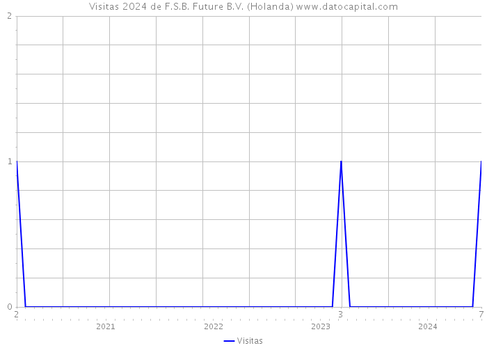 Visitas 2024 de F.S.B. Future B.V. (Holanda) 