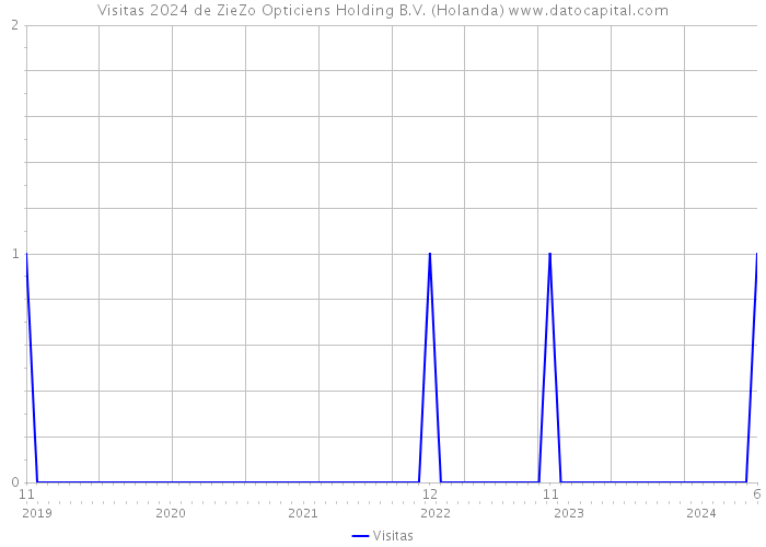 Visitas 2024 de ZieZo Opticiens Holding B.V. (Holanda) 