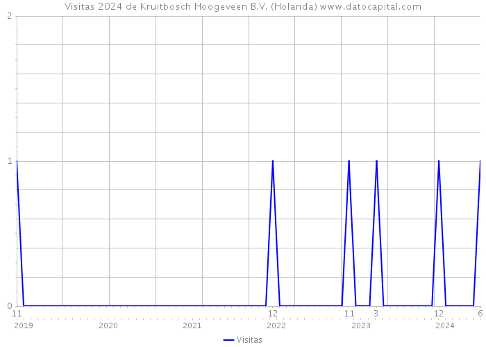 Visitas 2024 de Kruitbosch Hoogeveen B.V. (Holanda) 