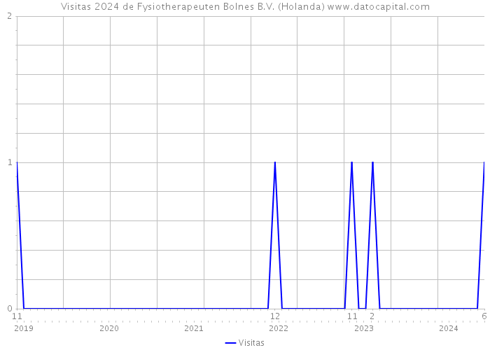 Visitas 2024 de Fysiotherapeuten Bolnes B.V. (Holanda) 