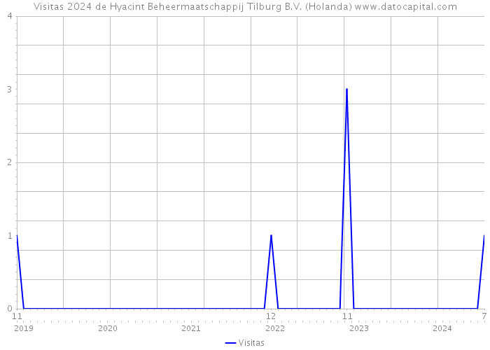Visitas 2024 de Hyacint Beheermaatschappij Tilburg B.V. (Holanda) 