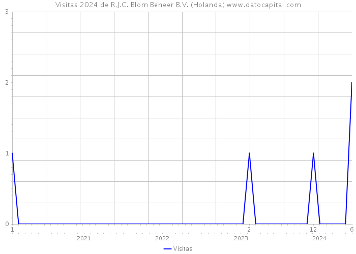 Visitas 2024 de R.J.C. Blom Beheer B.V. (Holanda) 