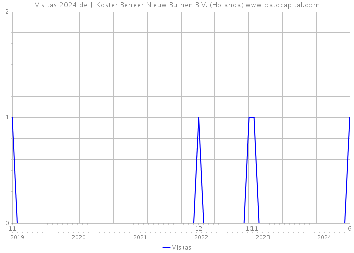 Visitas 2024 de J. Koster Beheer Nieuw Buinen B.V. (Holanda) 