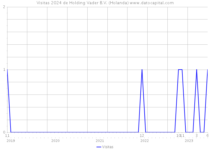 Visitas 2024 de Holding Vader B.V. (Holanda) 