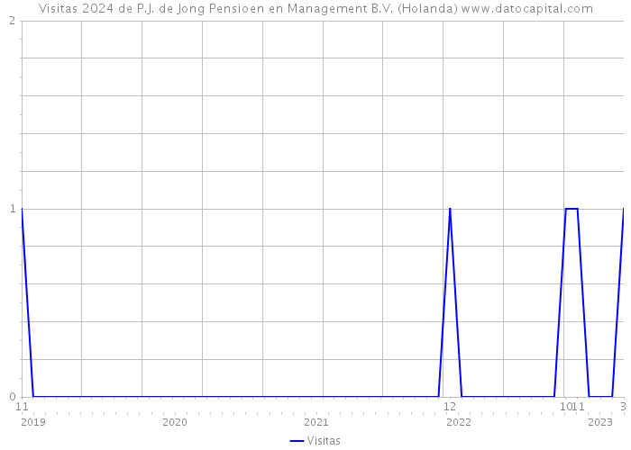Visitas 2024 de P.J. de Jong Pensioen en Management B.V. (Holanda) 