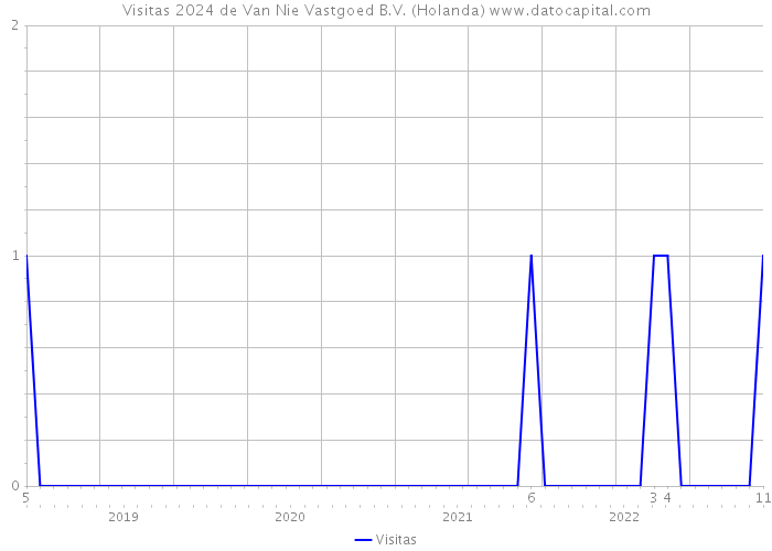 Visitas 2024 de Van Nie Vastgoed B.V. (Holanda) 
