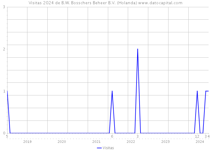 Visitas 2024 de B.W. Bosschers Beheer B.V. (Holanda) 