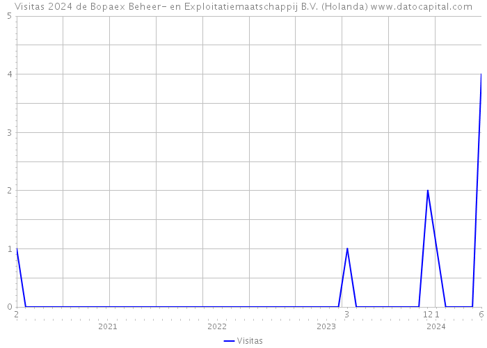 Visitas 2024 de Bopaex Beheer- en Exploitatiemaatschappij B.V. (Holanda) 