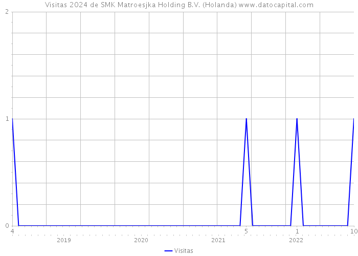 Visitas 2024 de SMK Matroesjka Holding B.V. (Holanda) 