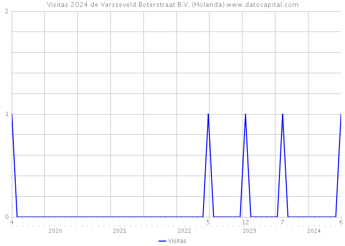 Visitas 2024 de Varsseveld Boterstraat B.V. (Holanda) 