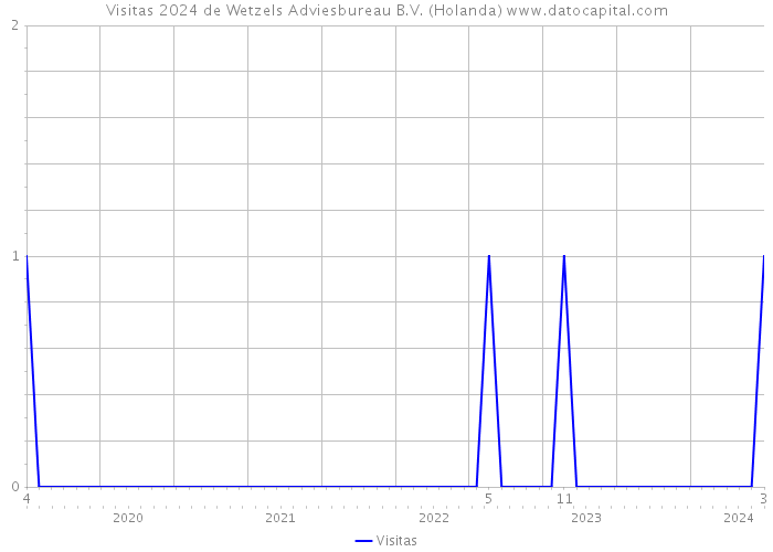 Visitas 2024 de Wetzels Adviesbureau B.V. (Holanda) 