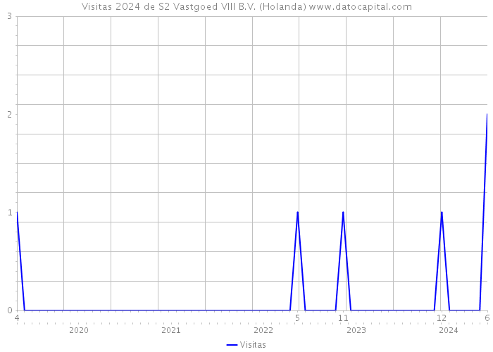 Visitas 2024 de S2 Vastgoed VIII B.V. (Holanda) 